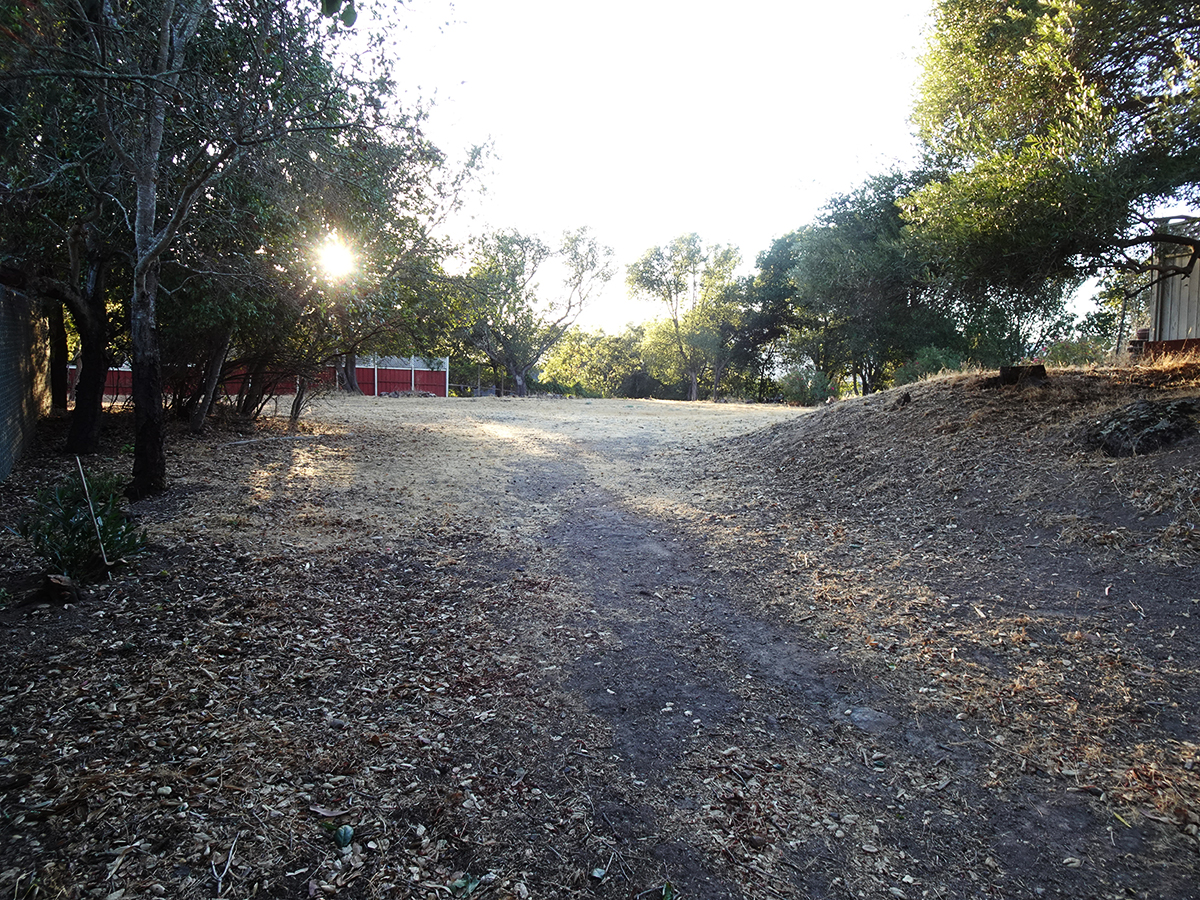 Some Boyes Springs Mysteries springs museum