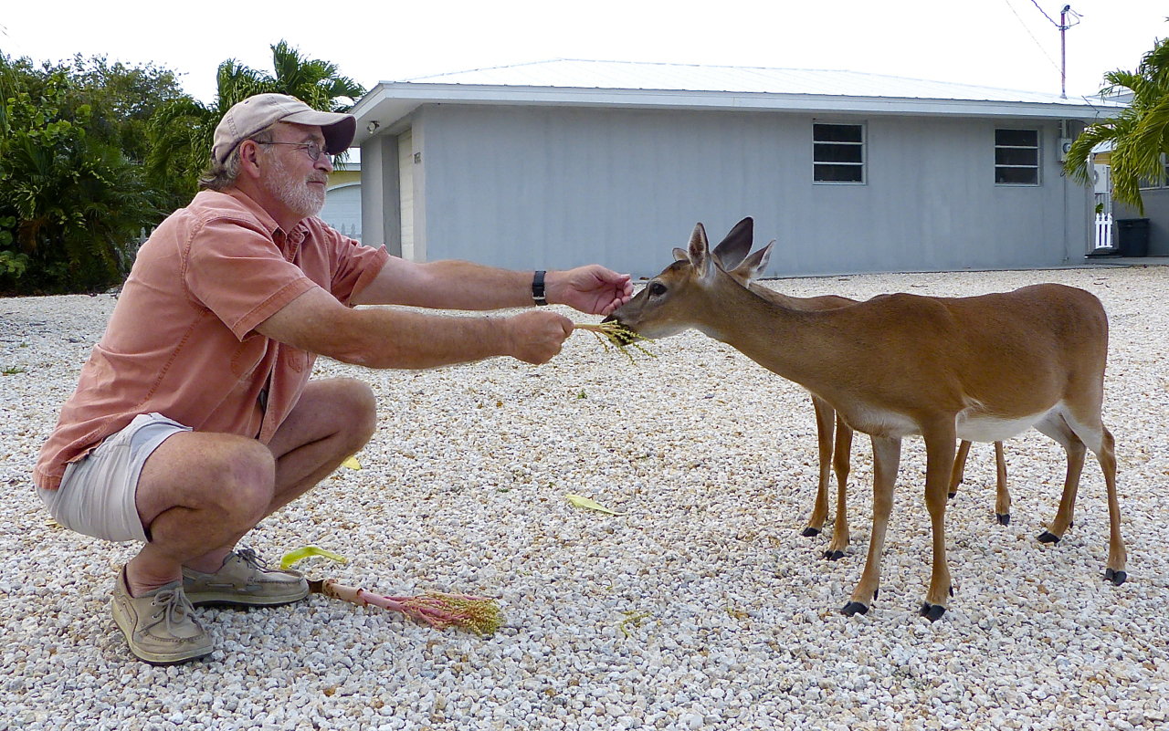 The Keys on a Weekday michael camp