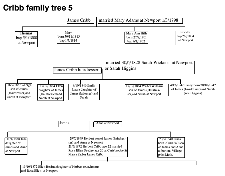 Mick Cooper's Family history page