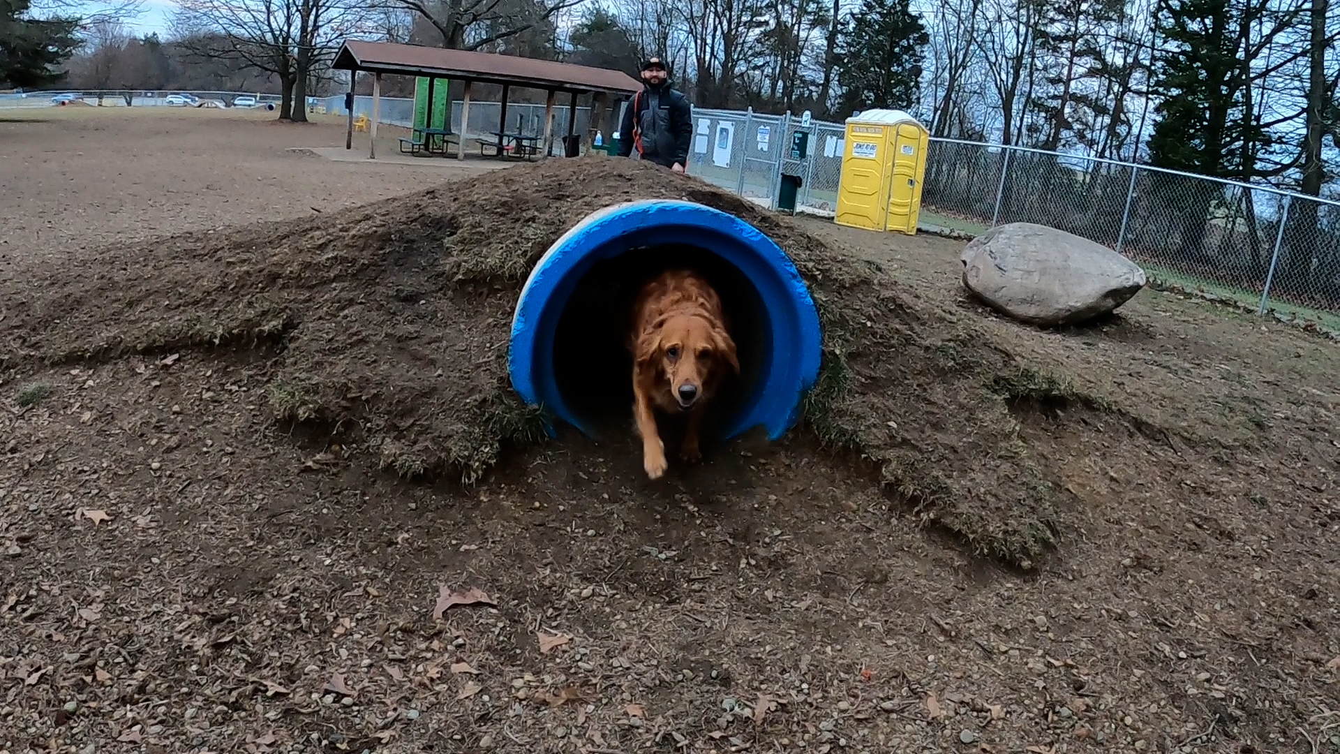Home Run Dog Park Project Michael Delaware