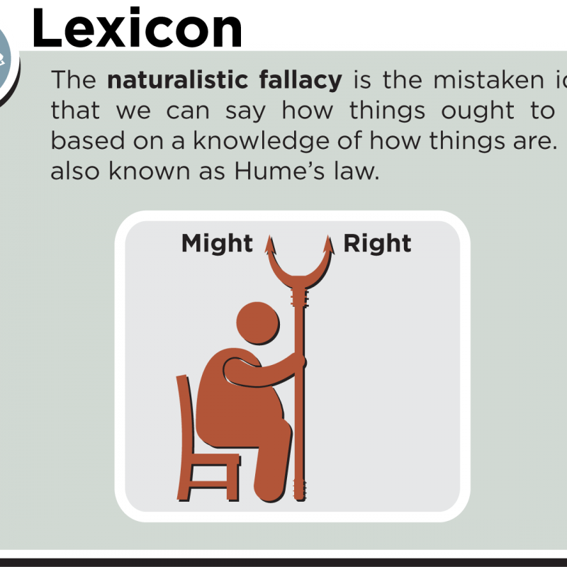 p175_Lexicon_Naturalistic Fallacy_v2 Michael Hanna Design, LLC