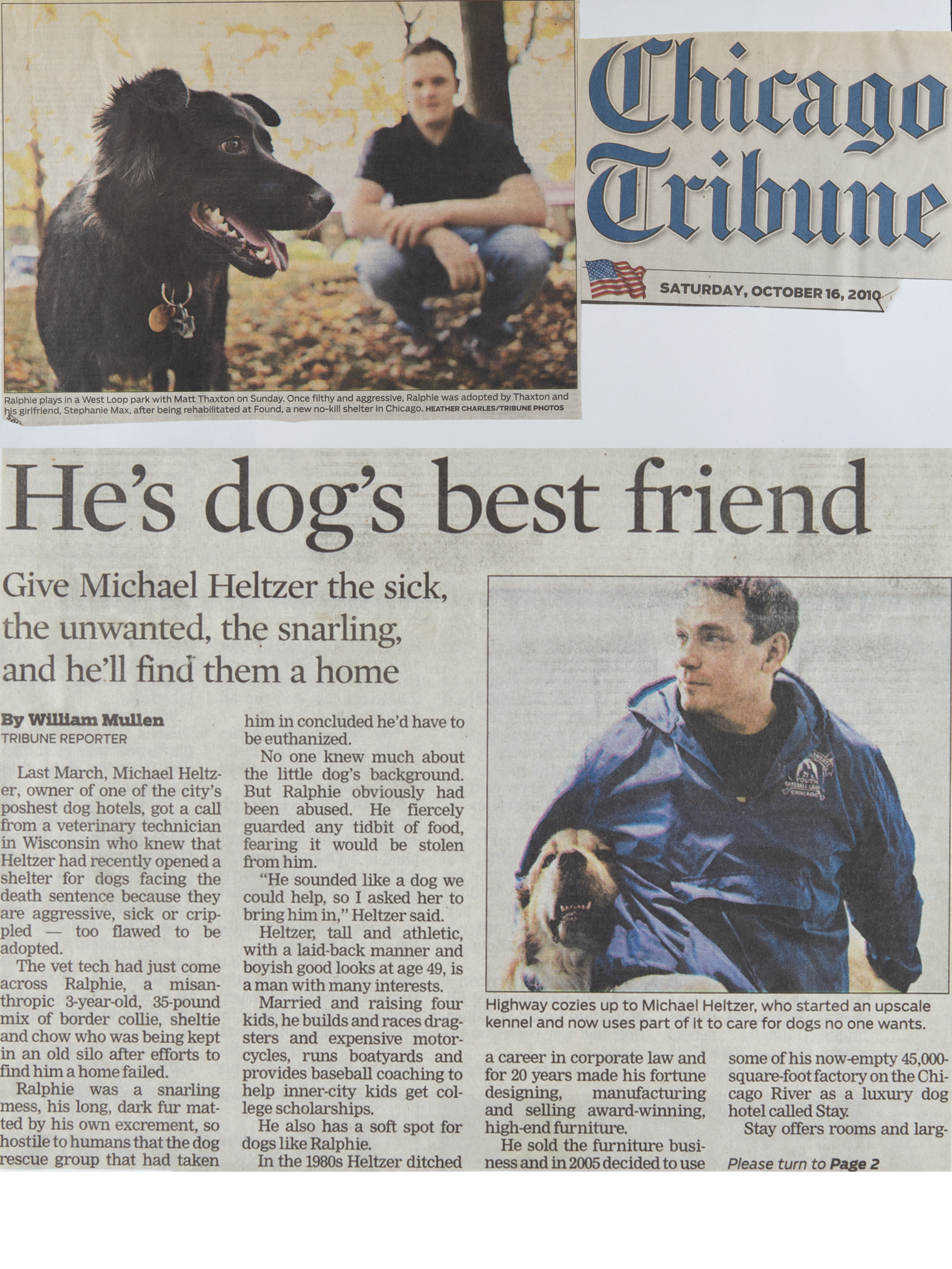 Stay. A Modern Dog Hotel Press — Michael Heltzer