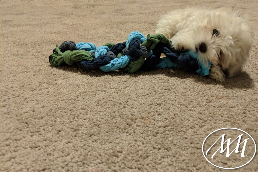 Upcycled DIY Dog Chew Toy | Michaeli Marler