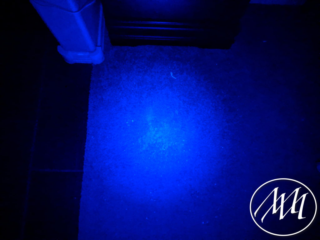 Black Light Cleaning Michaeli Marler