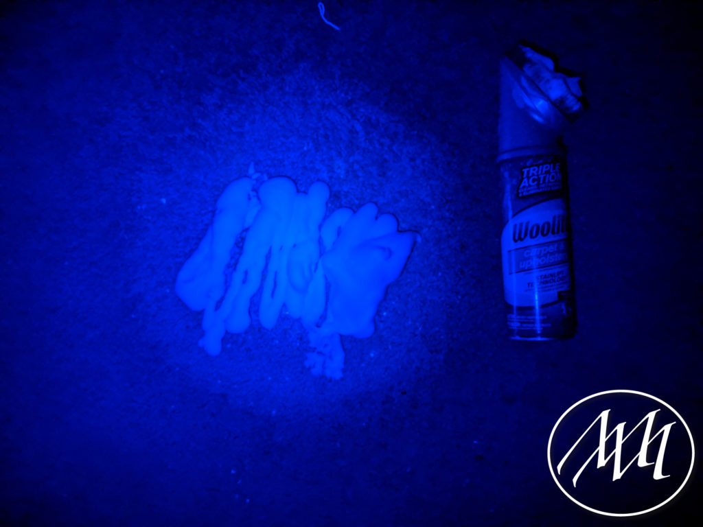 Black Light Cleaning Michaeli Marler