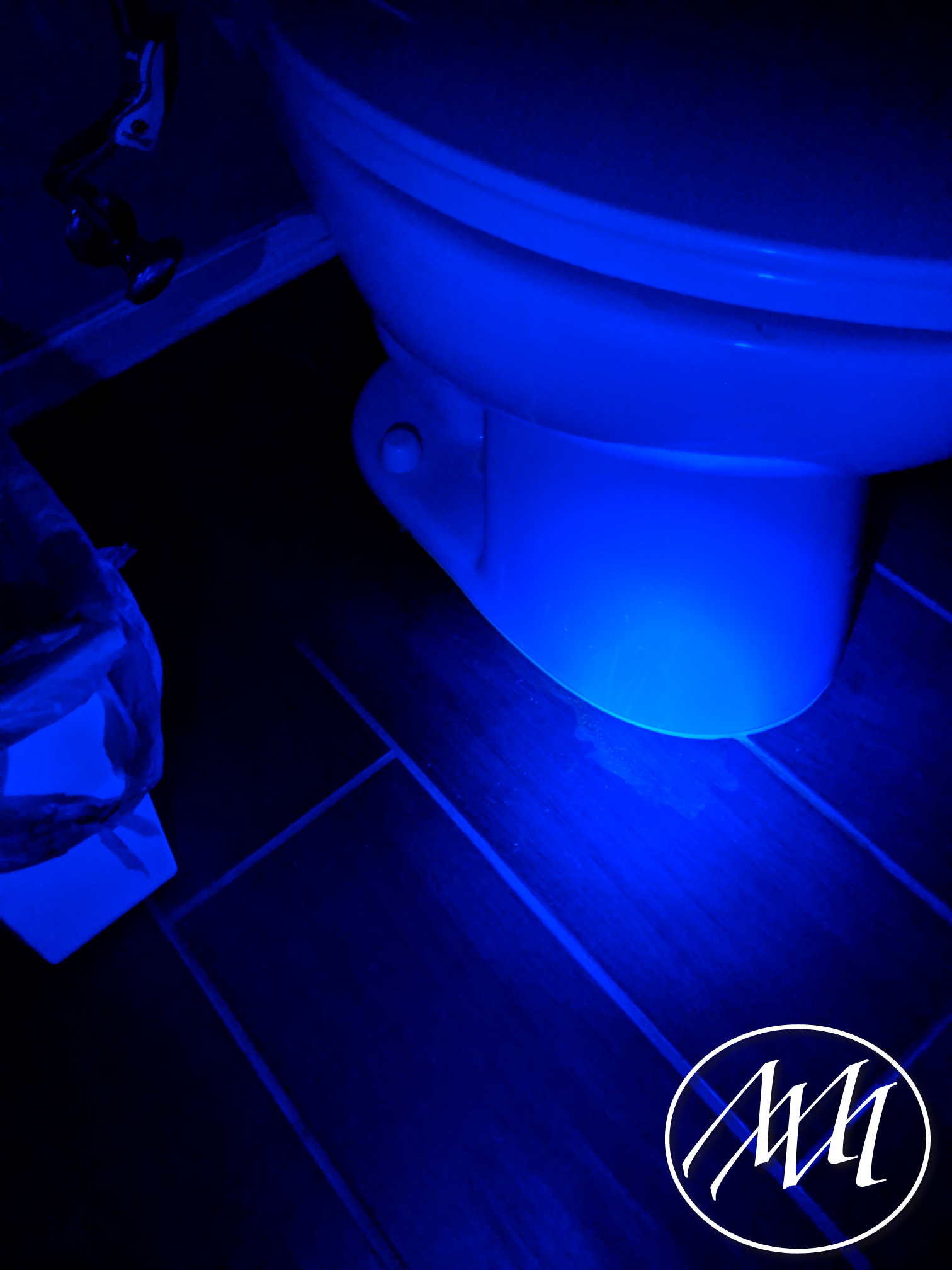 Black Light Cleaning Michaeli Marler