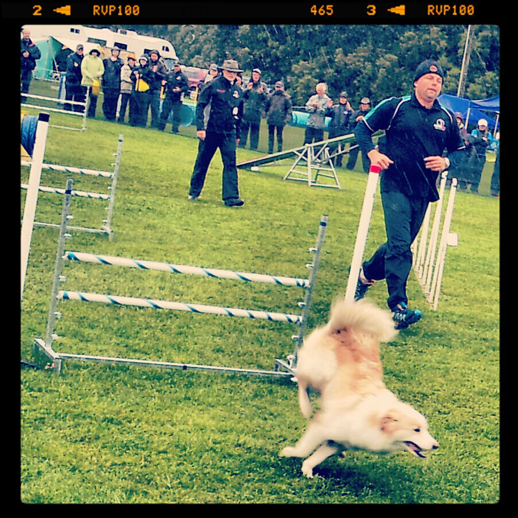 New Zealand Dog Agility Championship Michael Jeans