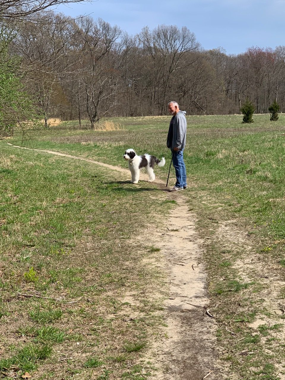 Michael Schaier Michael's Pack Owner & Head Dog Trainer