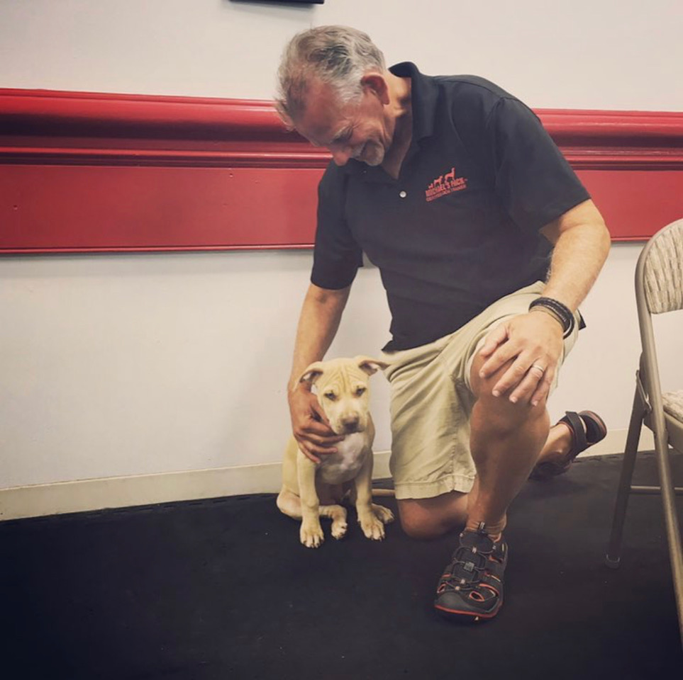 Michael Schaier Michael's Pack Owner & Head Dog Trainer