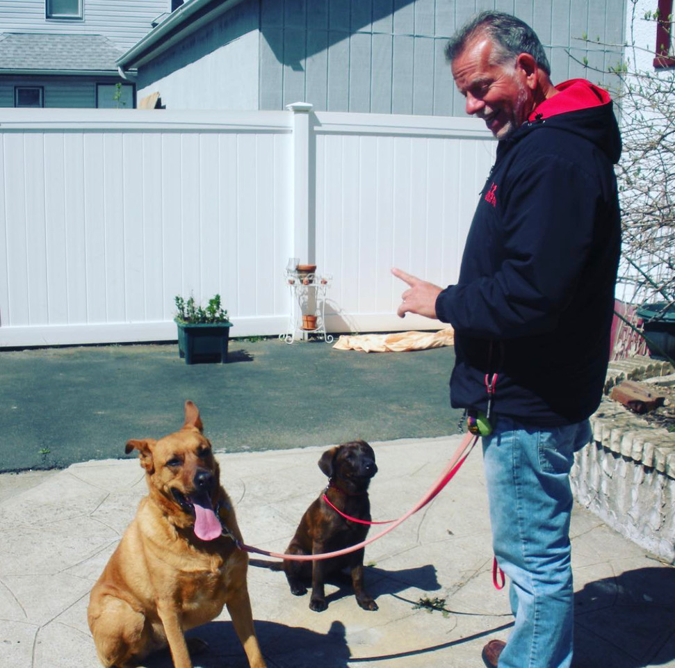 Michael Schaier Michael's Pack Owner & Head Dog Trainer