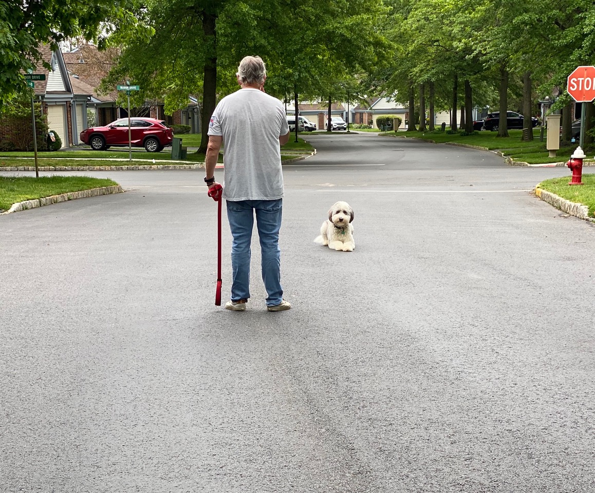 Michael Schaier Michael's Pack Owner & Head Dog Trainer