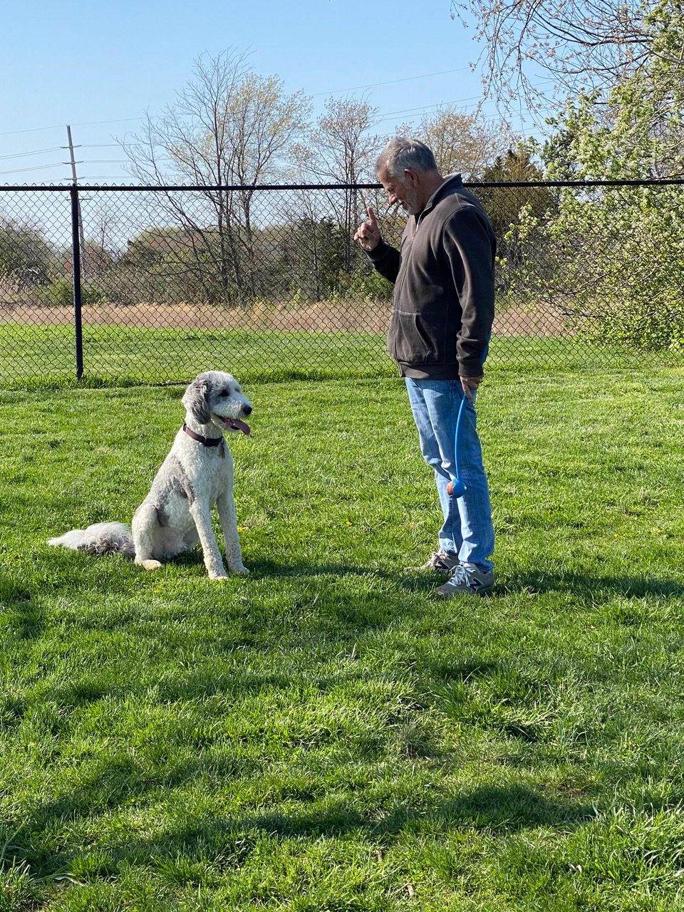 Michael Schaier Michael's Pack Owner & Head Dog Trainer