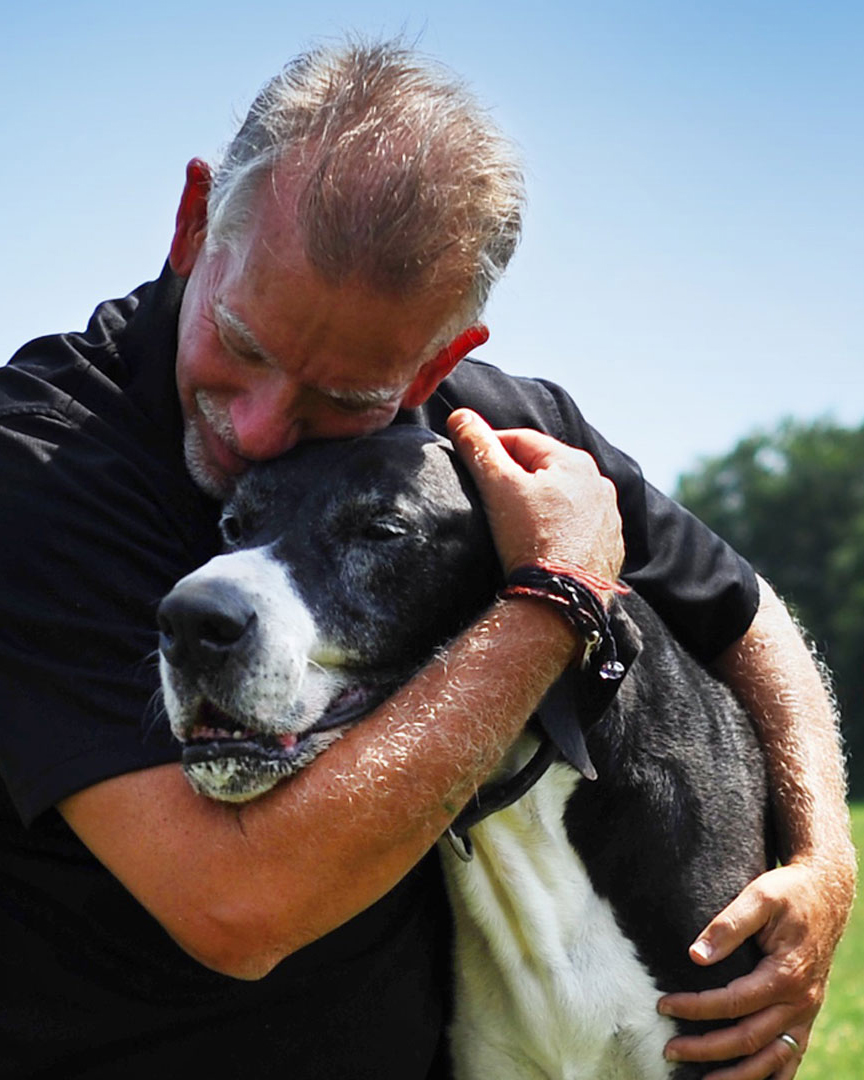 Michael's Pack Dog Trainers Puppy & Adult Dog Training Services