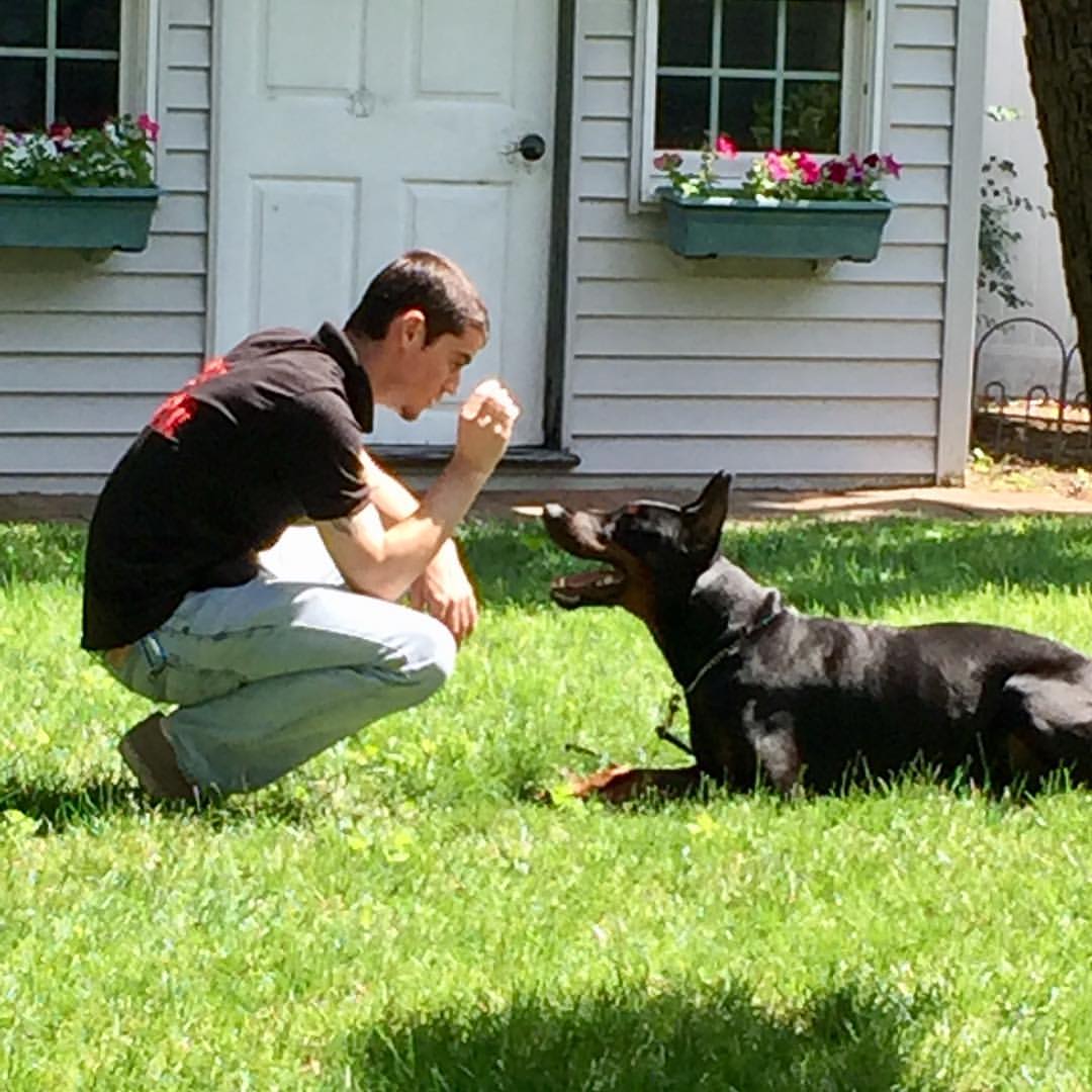 Philip Smith Michael's Pack Suffolk County Dog Trainer