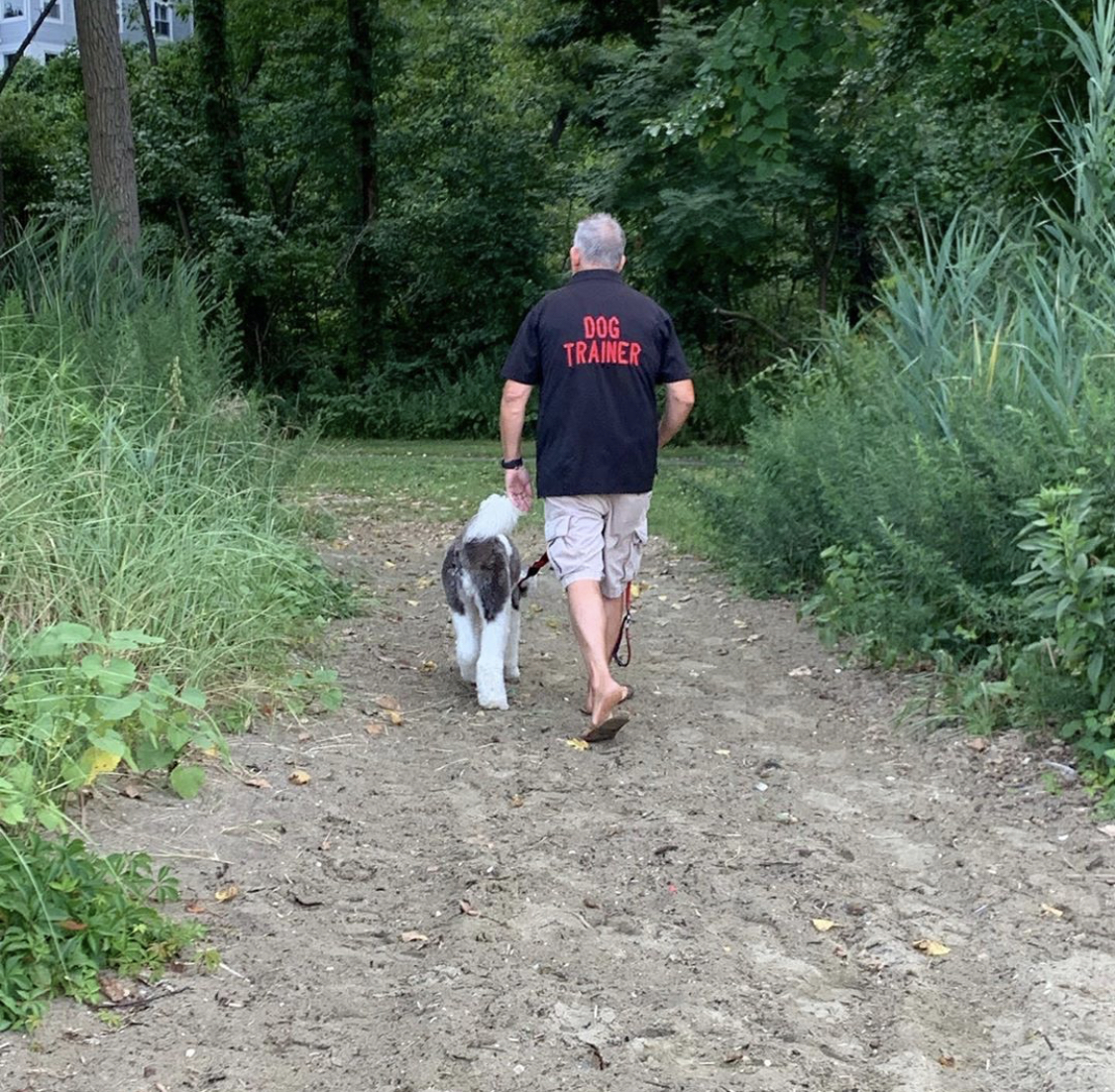 About Us Michael's Pack NJ & NY Dog Trainers