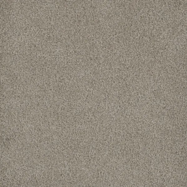 Dreamweaver Carpet Hammond Creek I Cameo Carpet 2032_174
