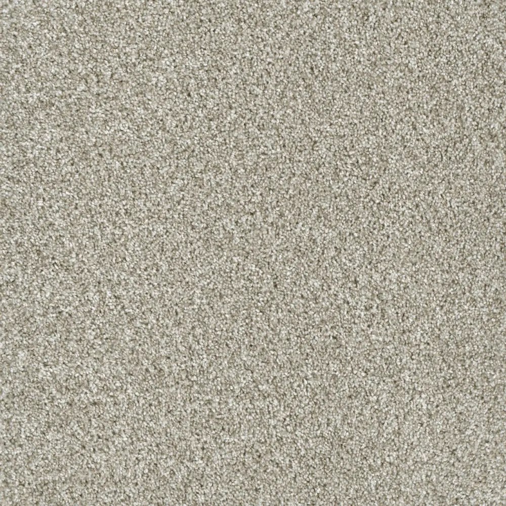 Dreamweaver Carpet Yellowstone Winterbrooke Carpet 4330_898