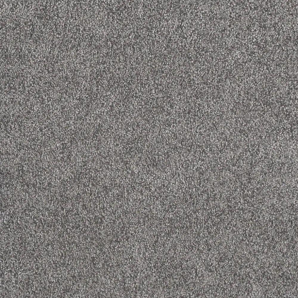 Dreamweaver Carpet Rustic Retreat II Blueberry Field Carpet 4455_4125