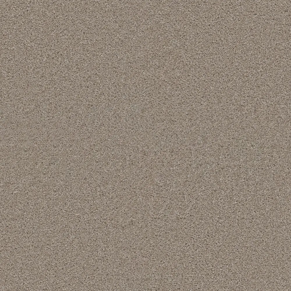 Dreamweaver Carpet Exceptional II Cameo Carpet 7404_174