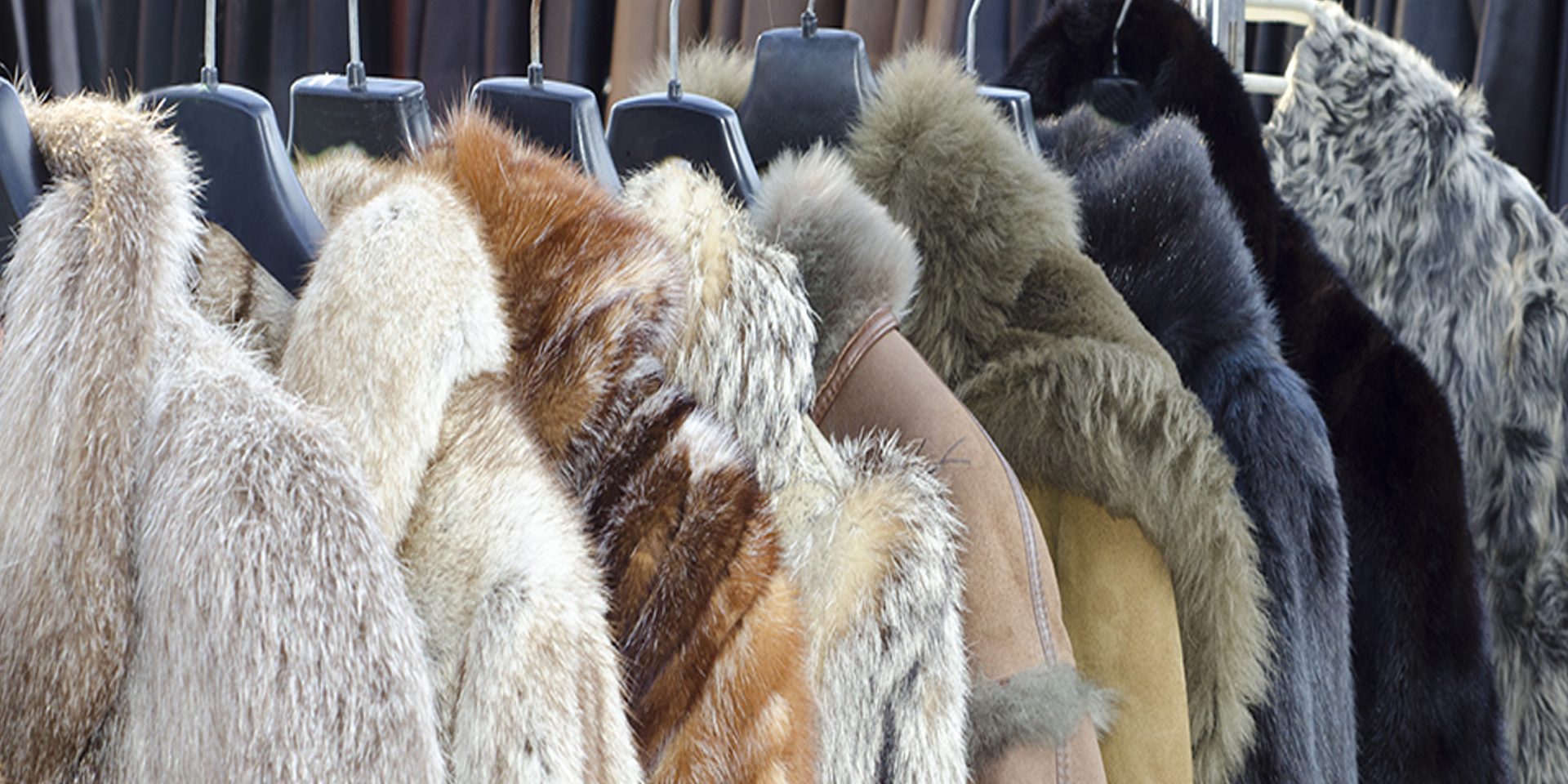 Fur Storage and Cleaning Michael's Fabricare