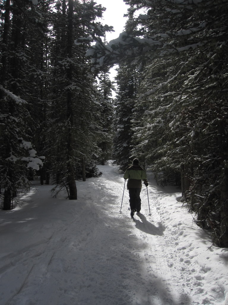 Cross Country Skiing Rollins Pass