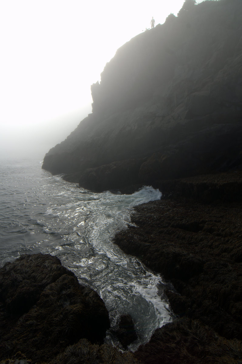 Cutler Coast 2