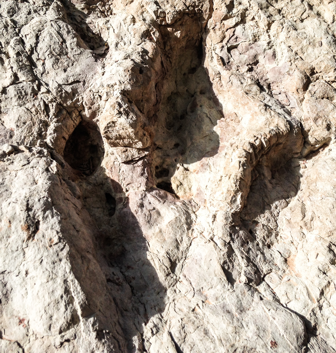 The Subway, Zion National Park