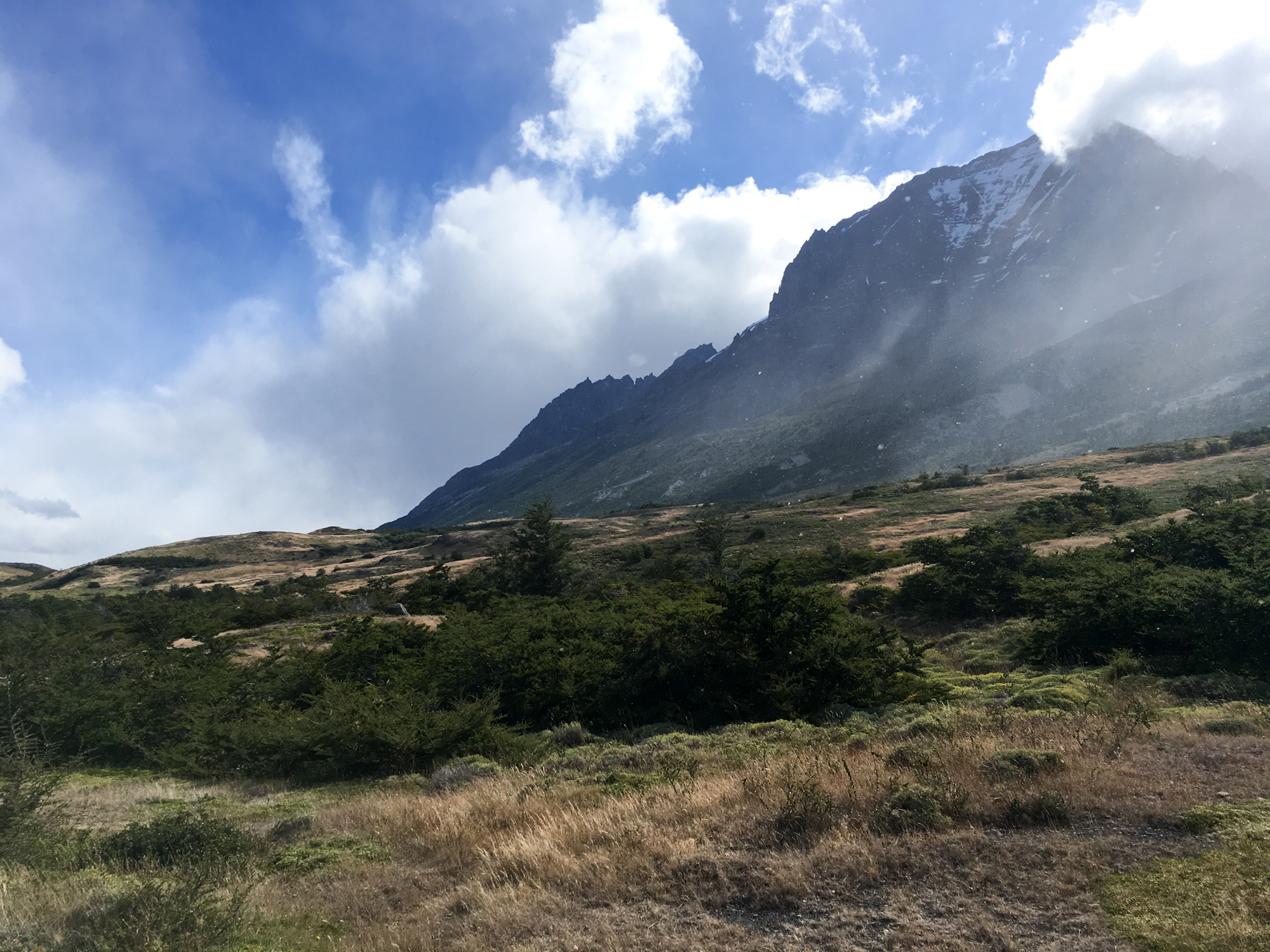 Torres del Paine