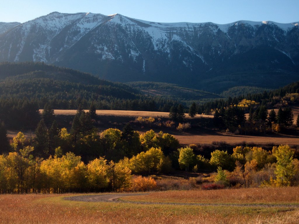 Fall in Bridger Canyon, Bozeman Montana