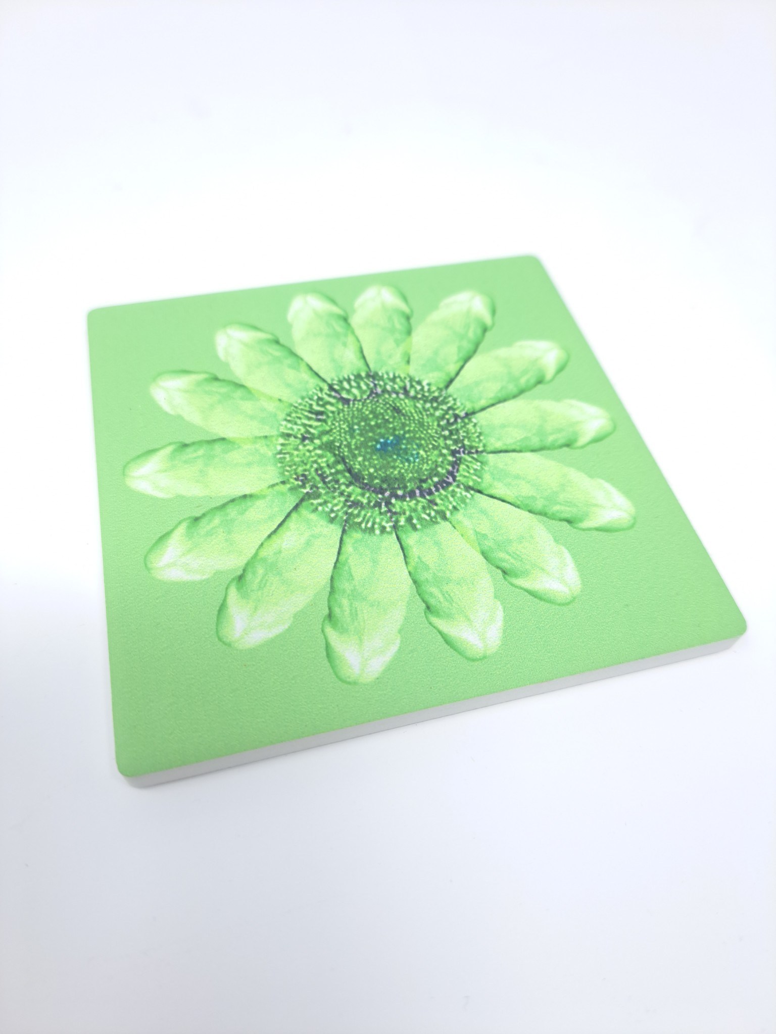 COASTERS SEXY GERBER DAISIES GREEN Michael Weems Collection