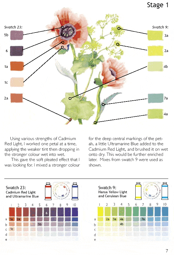 Depicting the Colours in Flowers The Michael Wilcox School of Color