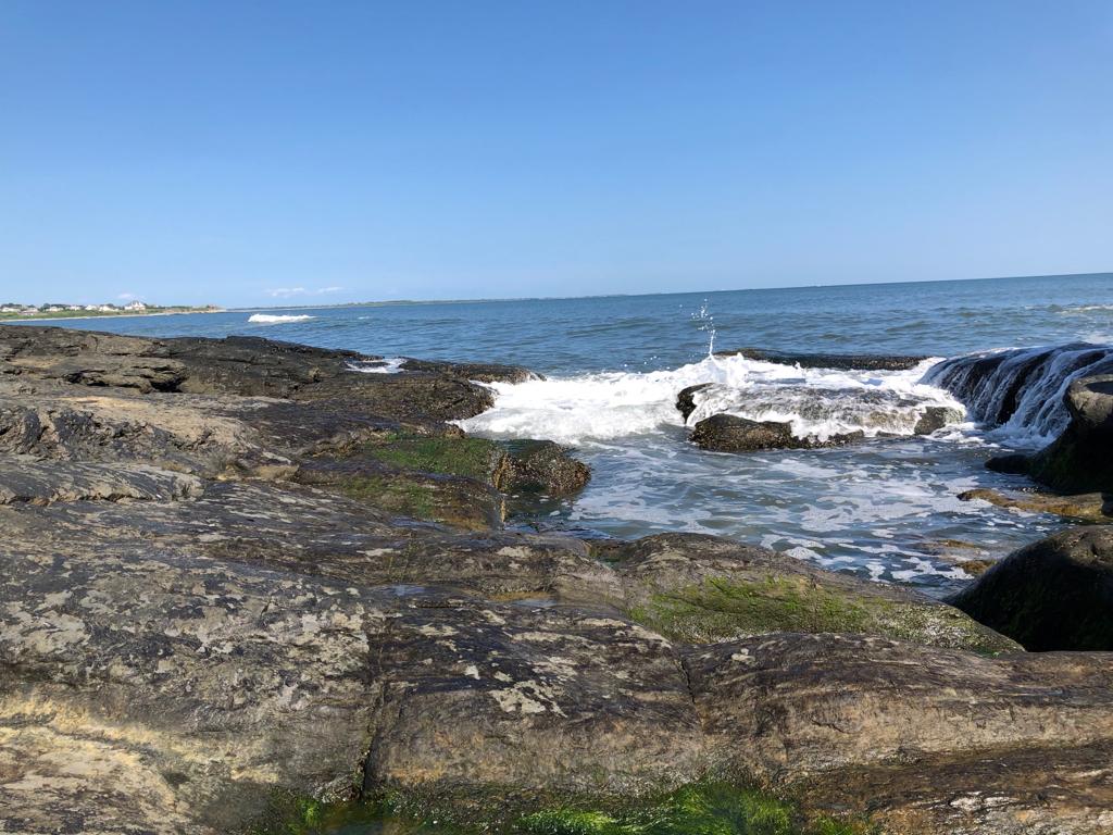 Parshas Terumah The Crown of Torah Michal Horowitz