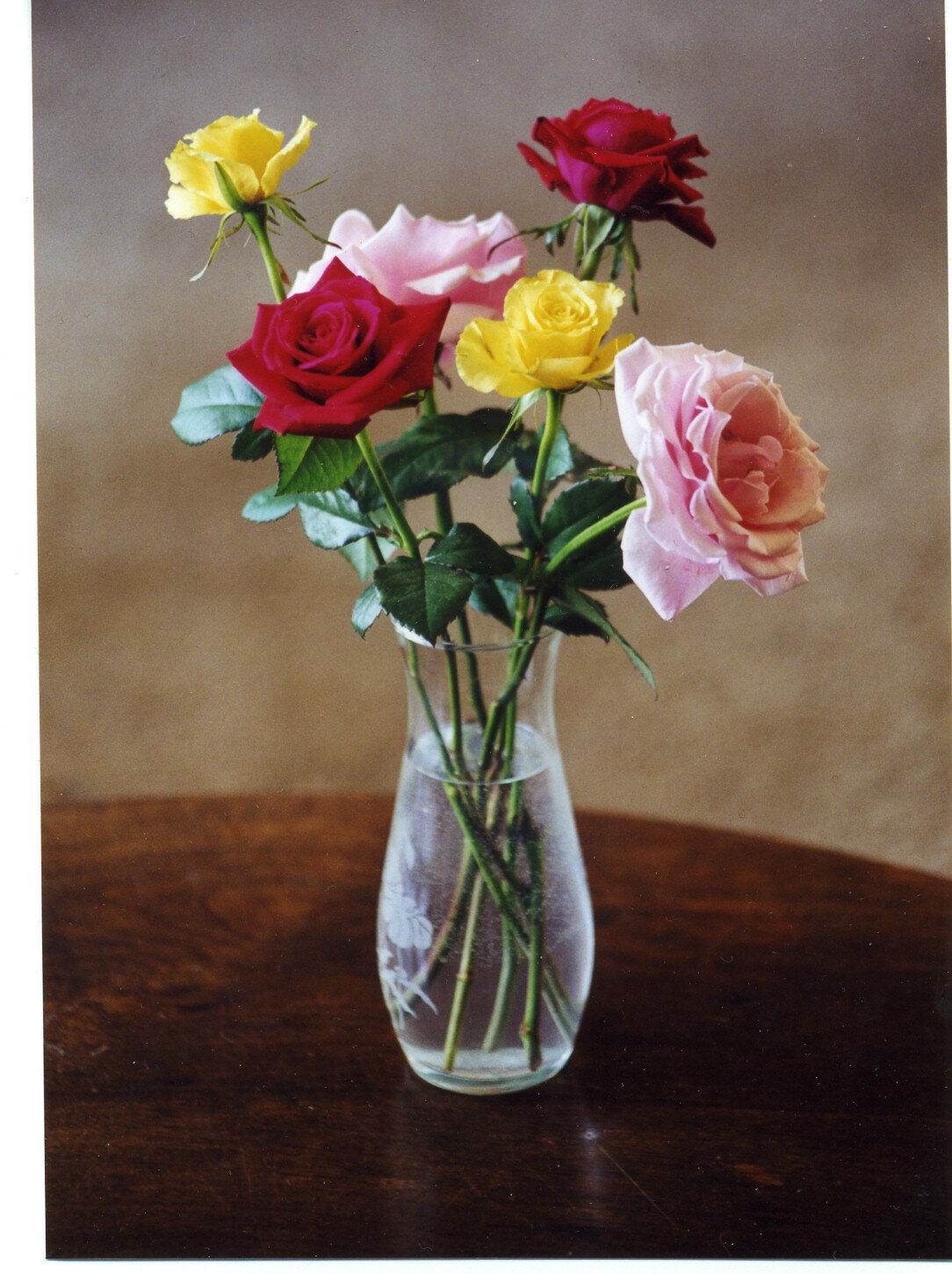 Flower References Michele Clamp Art