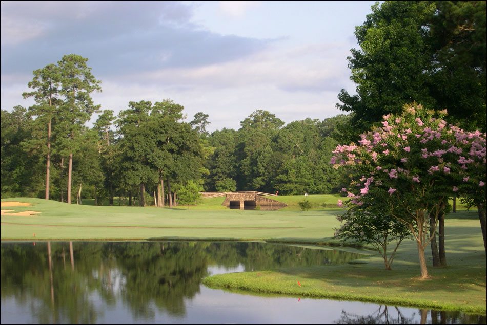 The Woodlands Village of Cochran’s Crossing Michele Flory