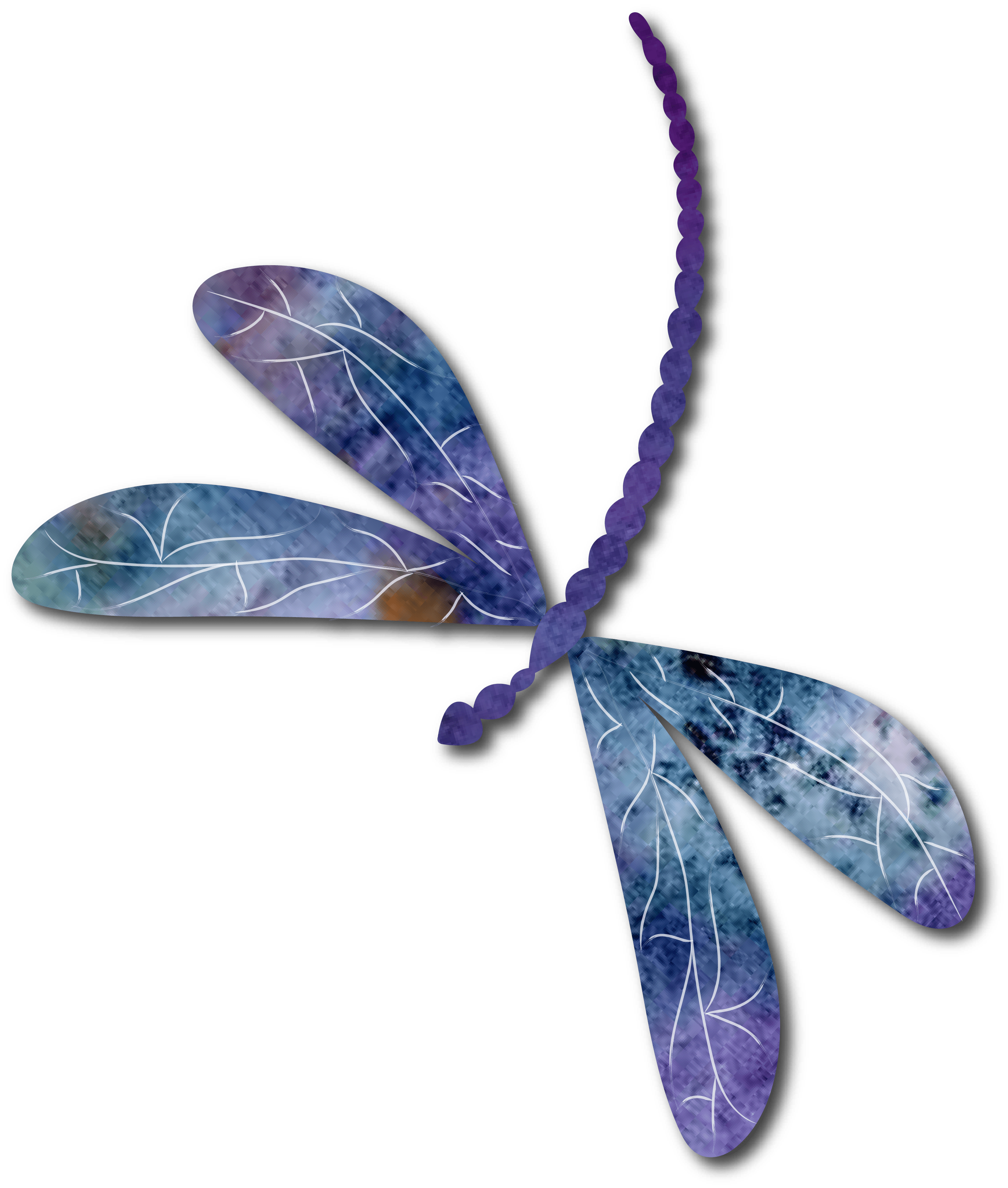 Aspects Of The Dragonfly M.L. Jacobson PhD.