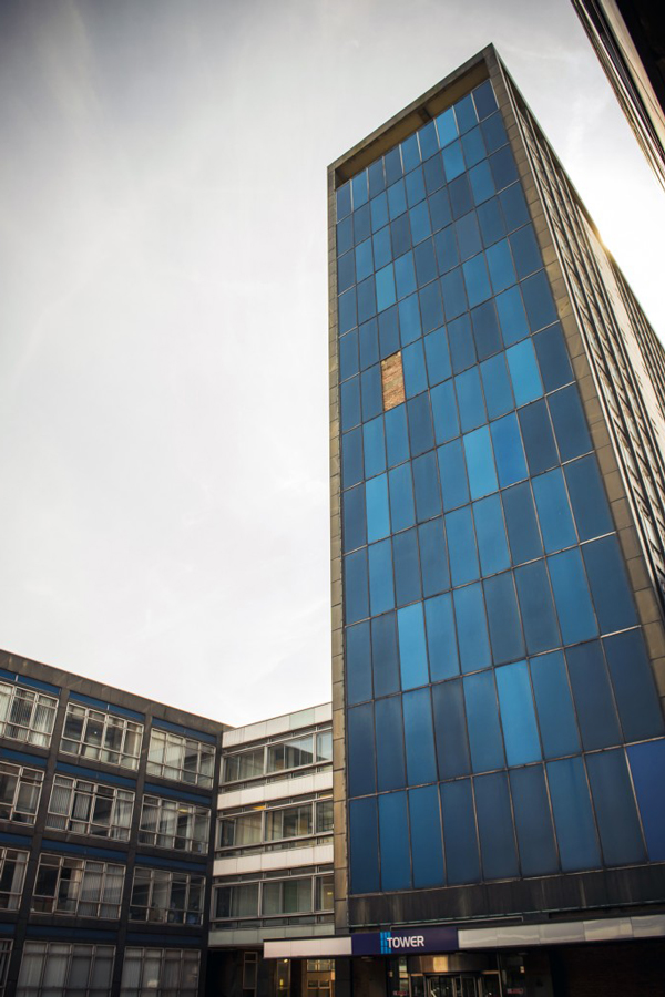 Michelle Browne artist & curator