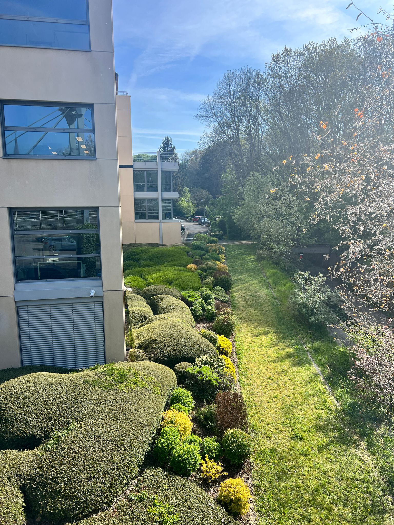 Offices Hollerich Michel Real Estate