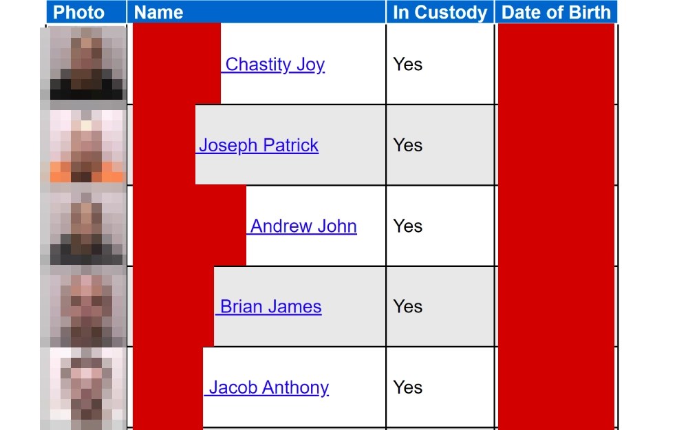 Check Michigan Arrests & Criminal Records Free Search of All MI Counties