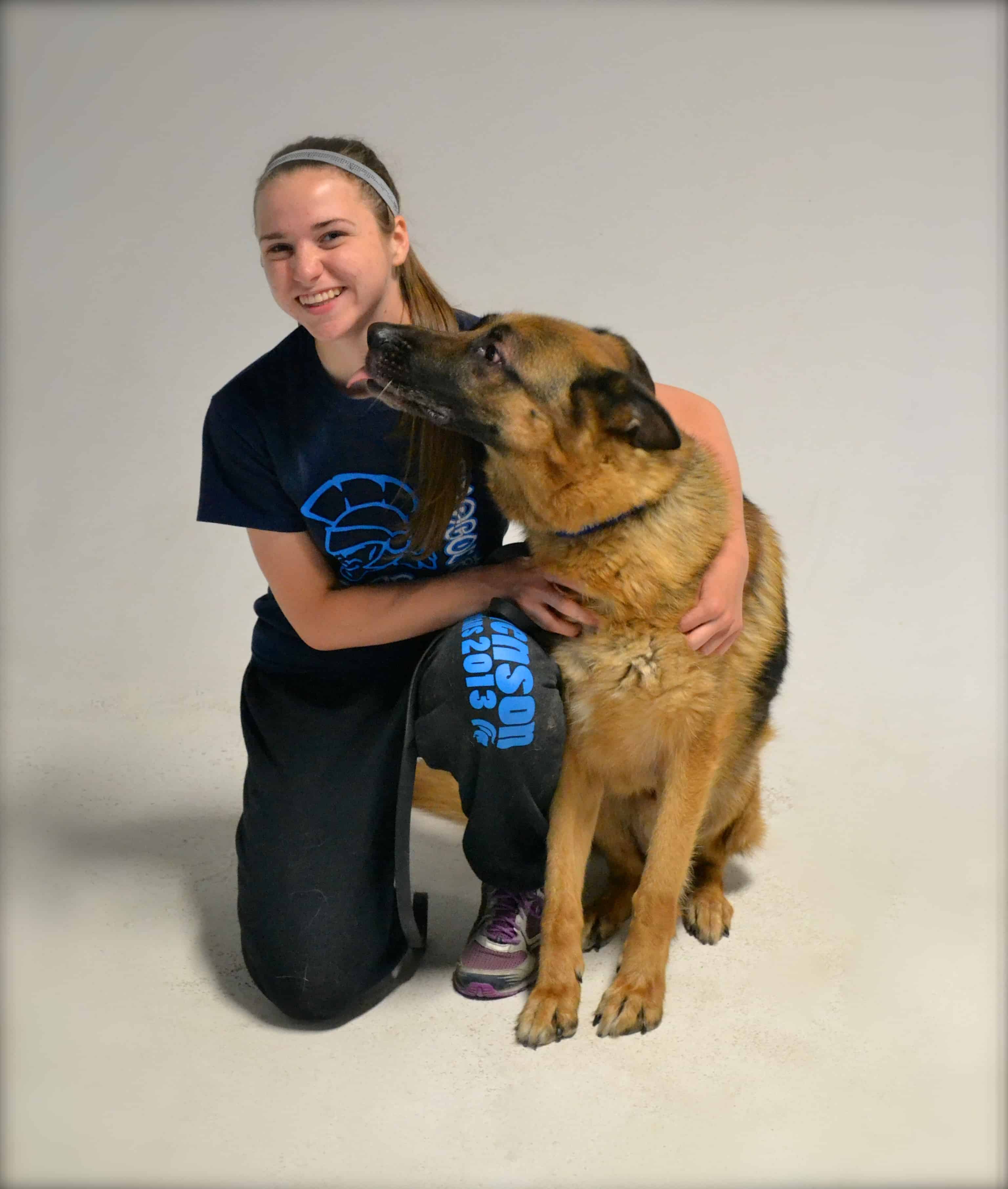 board and train Michigan Dog Training