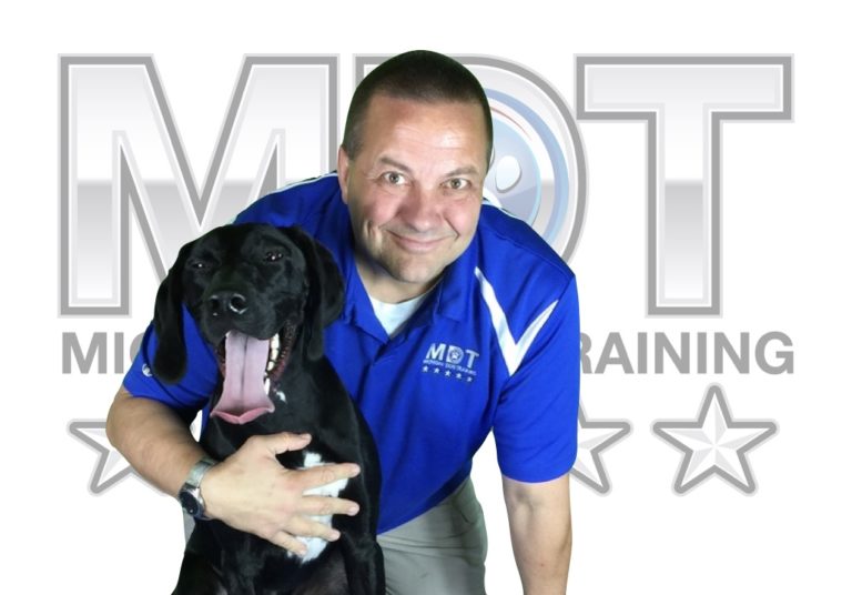 Meet Our Team Dog Trainers Michigan Dog Training