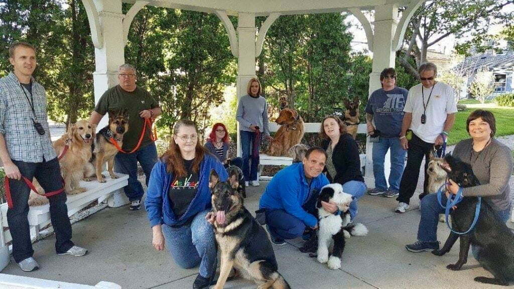 Perfect Practice Michigan Dog Training Michigan Dog Training