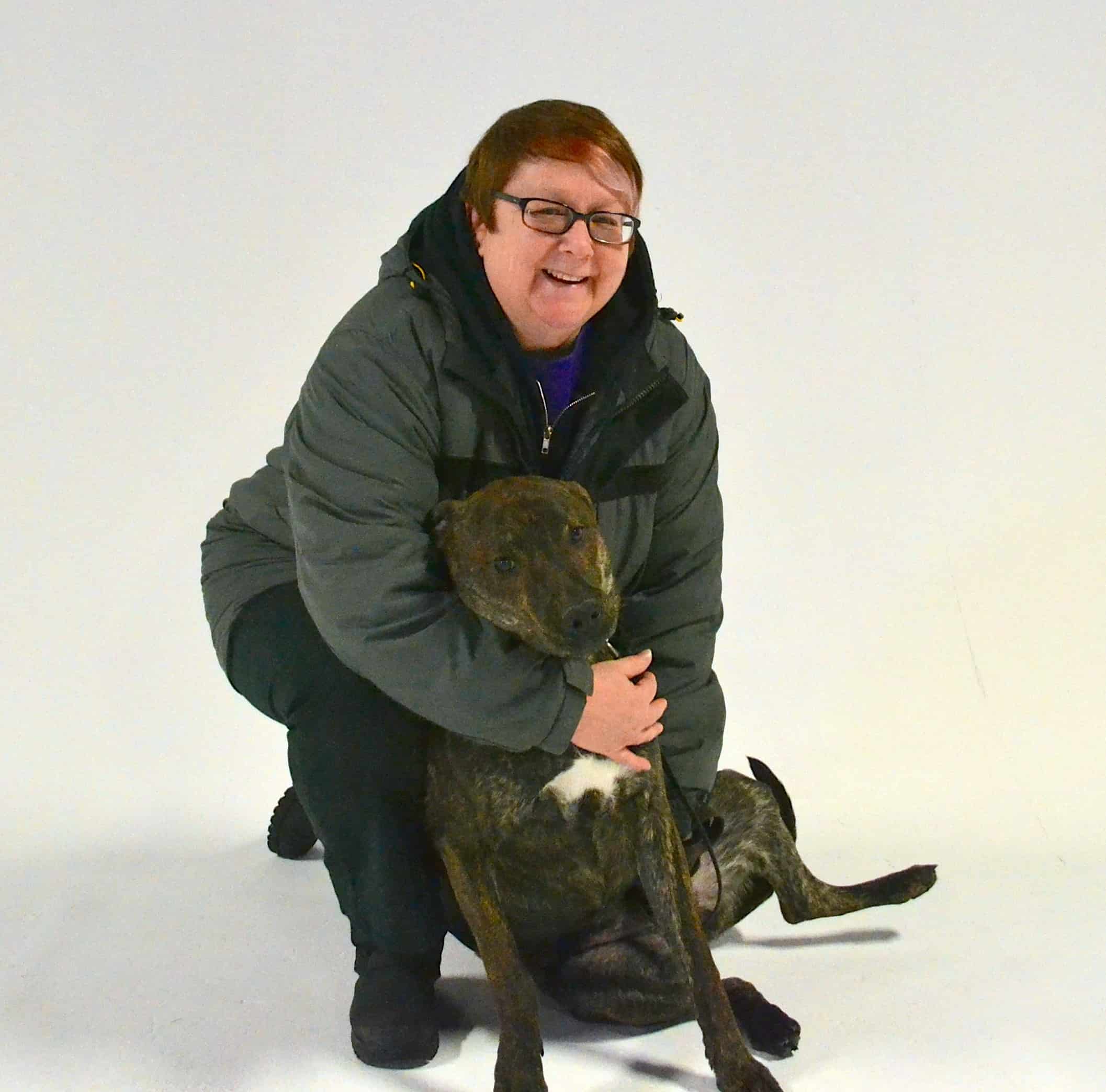 Michigan Dog Training trained dog available for adoption Michigan Dog