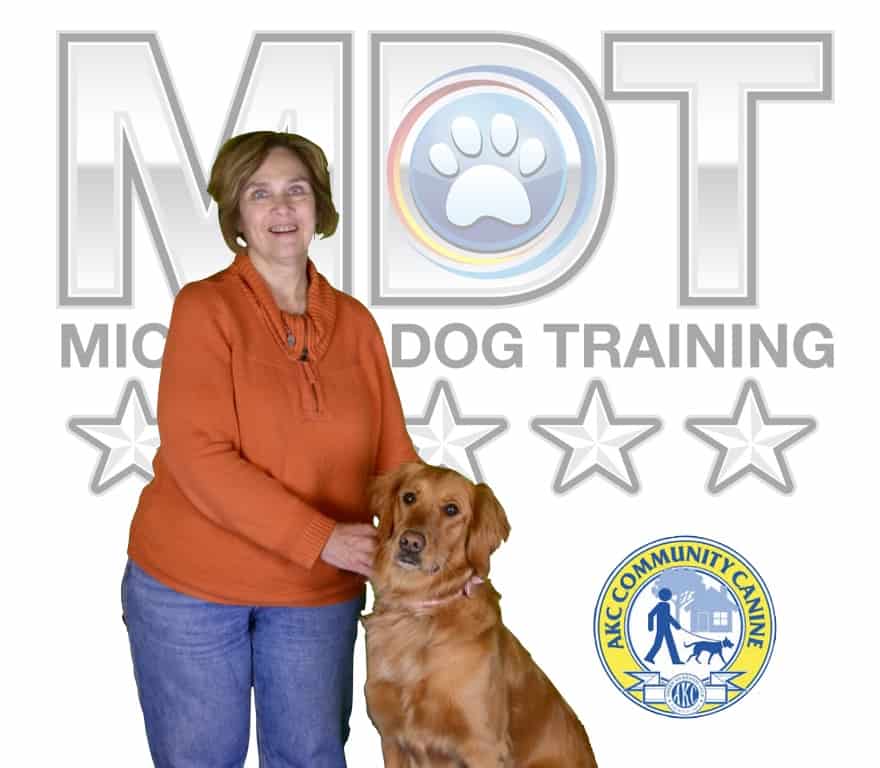 service dog Michigan Dog Training