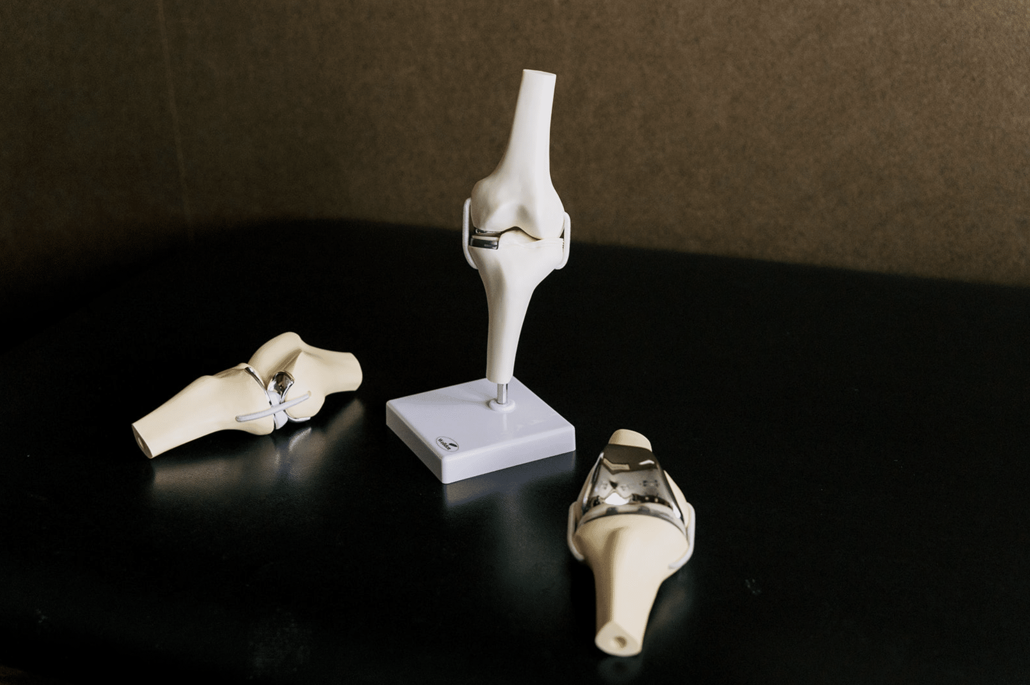 Total + Partial Revision Knee Surgery Michigan Knee Institute