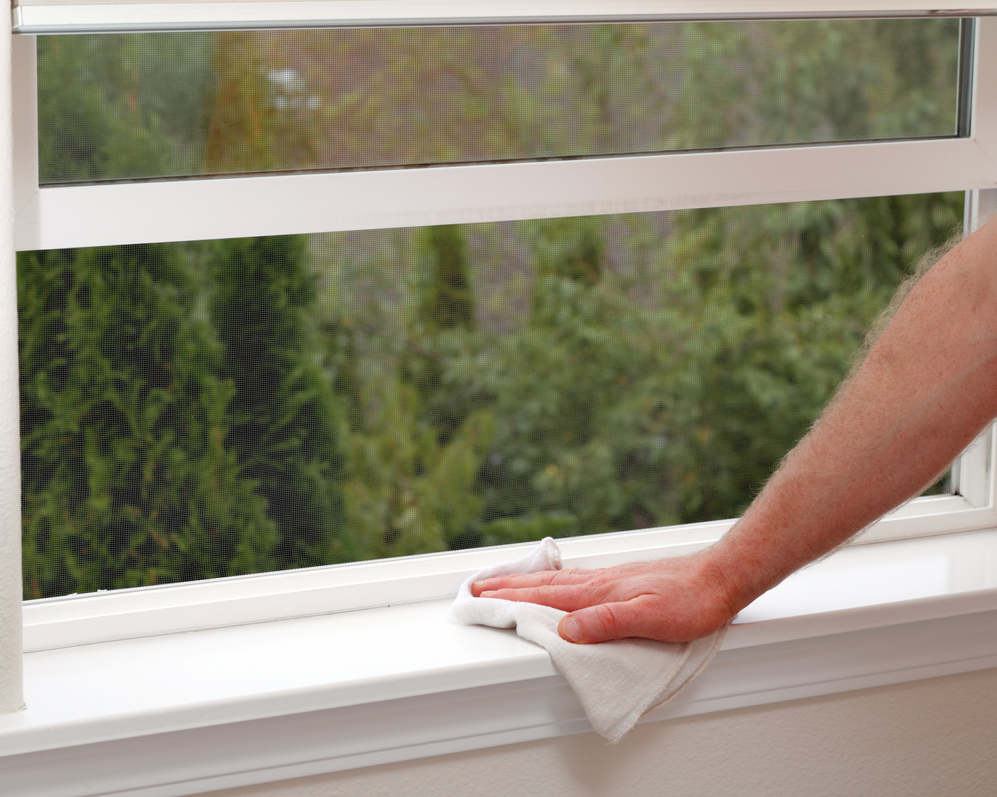 What to Do When You Need Emergency Window Repair Michigan Screen