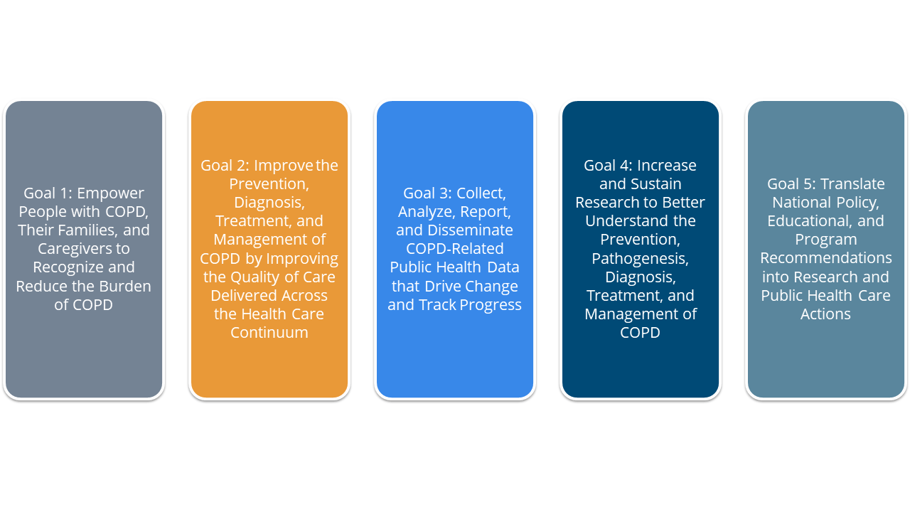 MVC Shares National Action Plan with COPD Workgroup Attendees