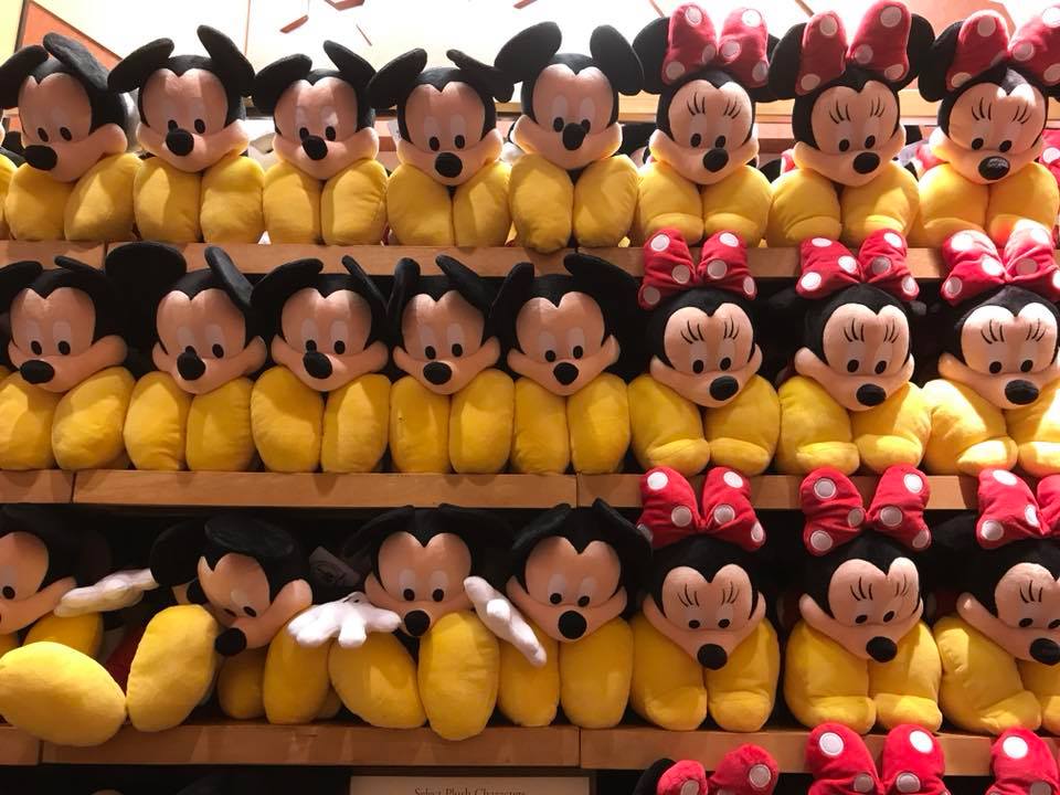 Everything You Need To Know About Disney World's Lost And Found System - Mickeyblog.com