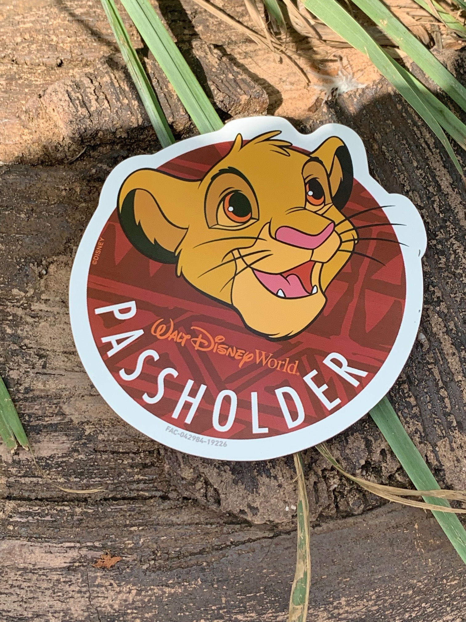 Simba is a Big Hit with Annual Passholders