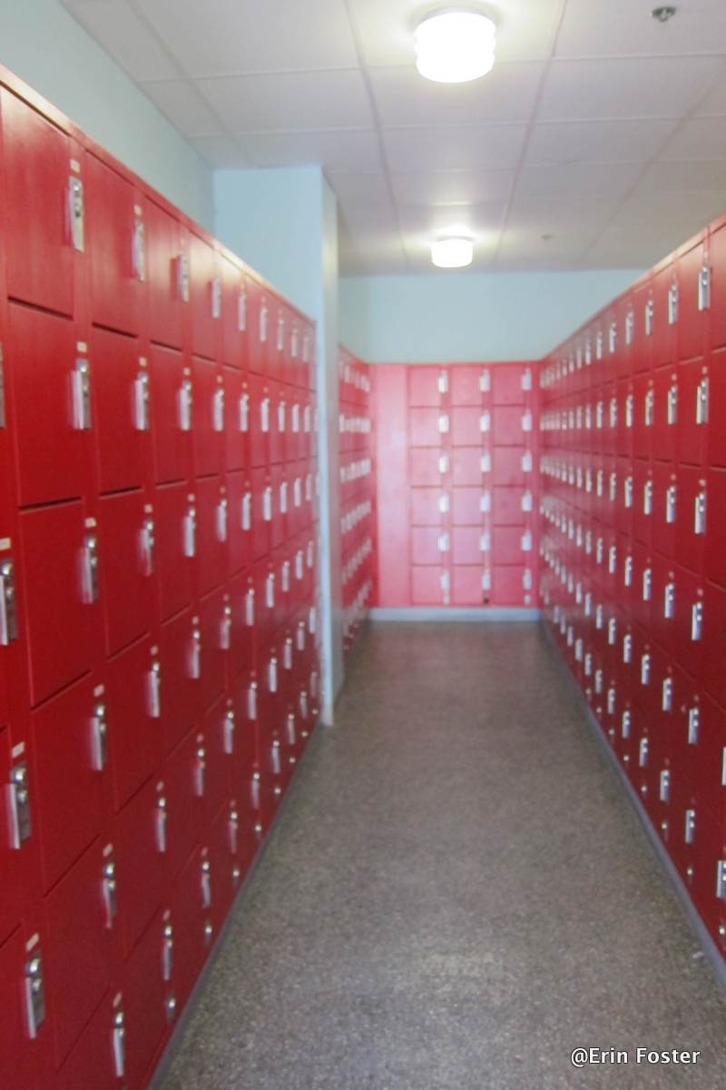 Should You Rent a Locker at Walt Disney World?