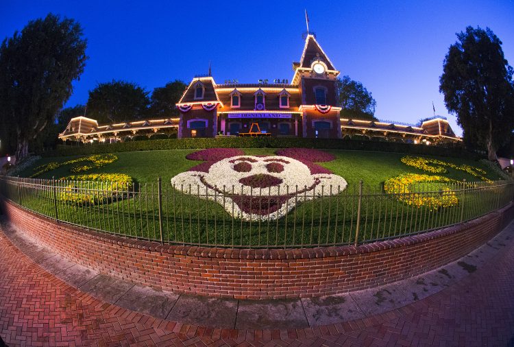 Horticulture at Disneyland Makes the Parks Look Stunning